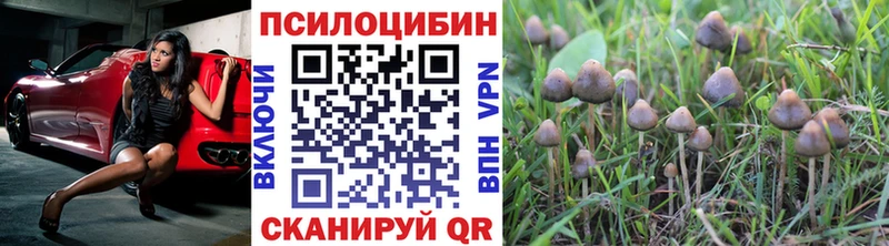 Псилоцибиновые грибы Cubensis Троицк